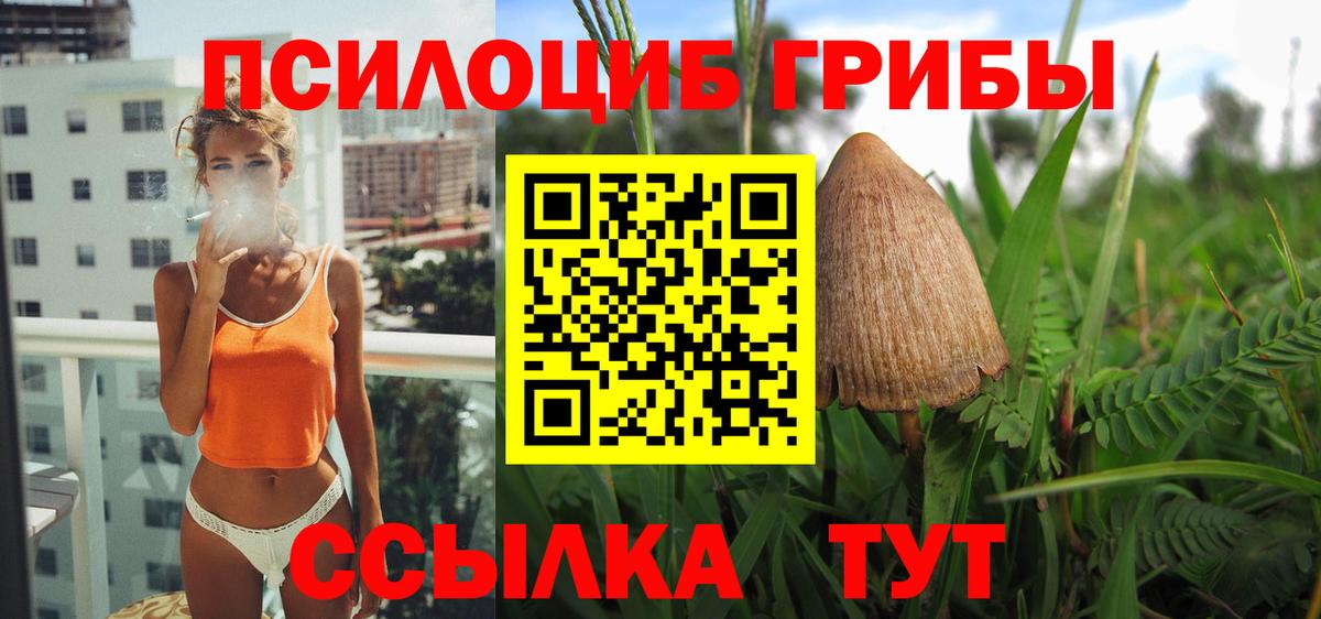 Галлюциногенные грибы Cubensis  Псилоцибиновые грибы Psilocybine cubensis  Подольск 